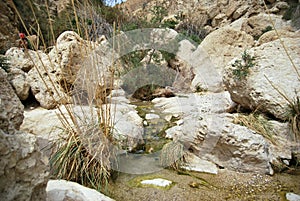 The mountain river with the tiny falls