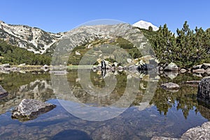 Mountain river and Vihren Peak, Pirin Mountain, Bulgaria