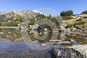 Mountain river and Vihren Peak, Pirin Mountain, Bulgaria