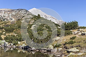 Mountain river and Vihren Peak, Pirin Mountain, Bulgaria