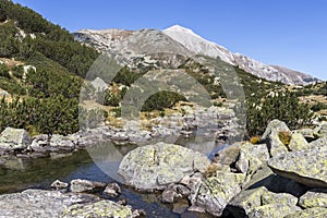 Mountain river and Vihren Peak, Pirin Mountain, Bulgaria