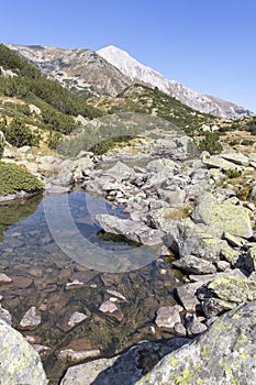 Mountain river and Vihren Peak, Pirin Mountain, Bulgaria