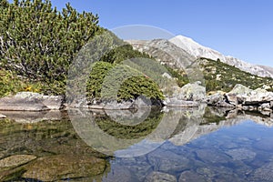 Mountain river and Vihren Peak, Pirin Mountain, Bulgaria