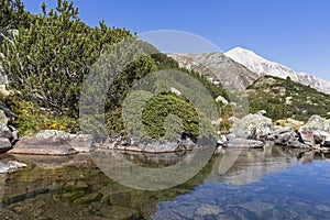 Mountain river and Vihren Peak, Pirin Mountain, Bulgaria