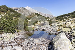 Mountain river and Vihren Peak, Pirin Mountain, Bulgaria