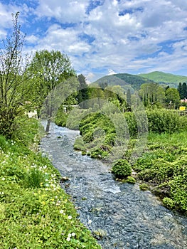 Mountain river Vrelo