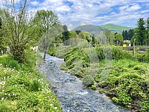 Mountain river Vrelo