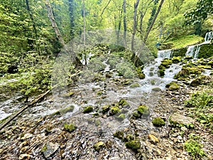 Mountain river Vrelo