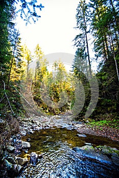 Mountain river water landscape. Wild river in mountains