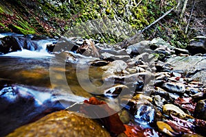 Mountain river water landscape. Wild river in mountains