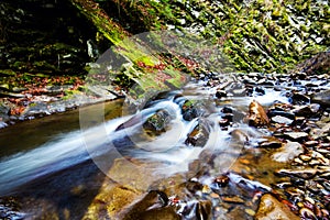 Mountain river water landscape. Wild river in mountains