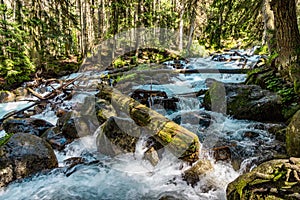 Mountain river water landscape. Wild river in mountains.