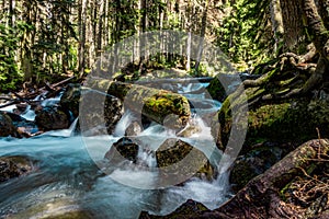 Mountain river water landscape. Wild river in mountains.