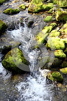 Mountain river water landscape. Wild river in mountains. Mountain wild river