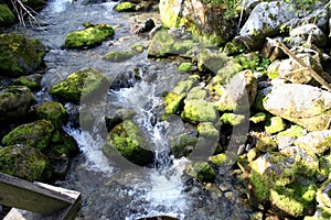 Mountain river water landscape. Wild river in mountains. Mountain wild river