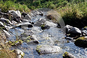 Mountain river water landscape. Wild river in mountains. Mountain wild river water