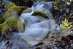 Mountain river waterfall in Carpathians mountains forest