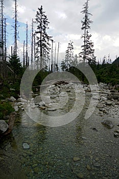 Horská řeka a vodopád v národním parku Vysoké Tatry