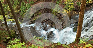 Mountain river waterfall in wild Carpathian forest