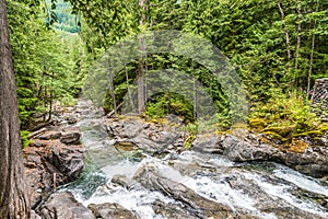 Mountain River Waterfalls - Deception Creek Falls - through Forest