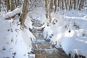 Mountain river in the winter forest.