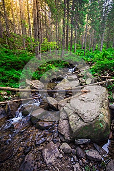 Mountain River in the wood. Ukrainian Carpathians.