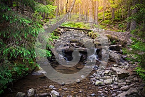 Mountain River in the wood. Ukrainian Carpathians.