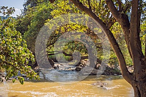 Mountain river in the woods. Steam rises above the water and sunlight flows through the trees