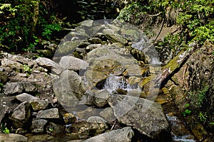 Mountain river Zhenets