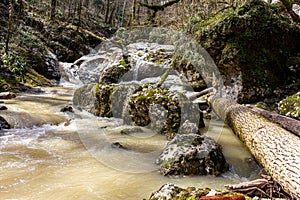 Mountain rivers, sources of clean water reserves on the planet, on a sunny spring day, a flood after the snow melts.