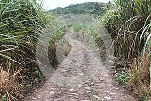 Mountain road