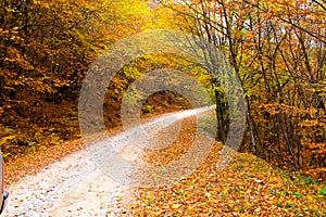 A mountain road in atumn