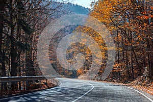 Mountain road in the autumn bright a sunny day