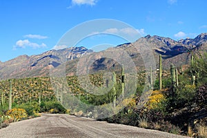Mountain Road in Bear Canyon in Tucson, AZ