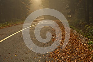 Mountain road covered with fog at autumn, mountain Goc