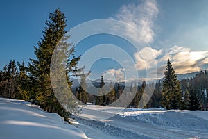 mountain road covered with snow, Tatra Mountains, Poland