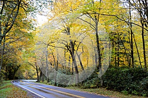 A mountain road curves through a changing landscape in early fall.