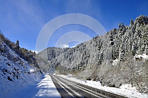 Mountain road in early spring photo