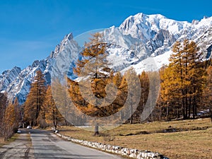 Mountain road in fall. In background the forest and the snowy pe