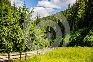 Mountain road, fence, blue sky. Mountain road, fence, blue sky, green coniferous forest. Oniferous forest.