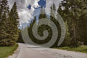 Mountain road in forest. Blue sky over the road.