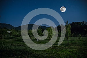 Mountain Road through the forest on a full moon night. Scenic night landscape of dark blue sky with moon. Azerbaijan