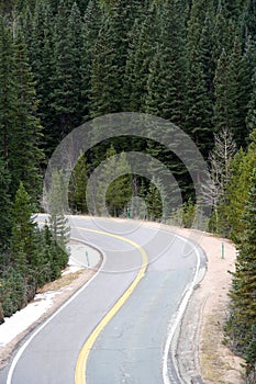 Mountain Road Framed with Pine Trees photo