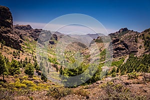 Mountain road in Gran Canaria