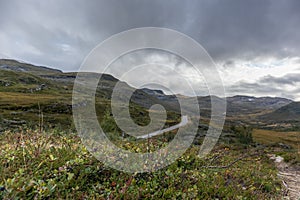 Mountain road green bush close-up Norway landscape