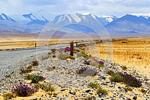 Mountain road. Landscape. Pamir. Tajikistan. Pamir highway