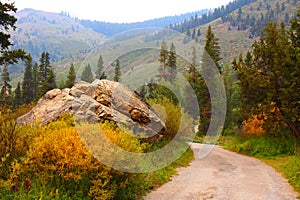 Mountain Road at Mineral King, Sequoia National Park