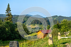 Mountain road on morning summer day,Carpathian mountains