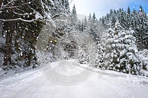 Mountain road through the snowy fir forest, scenic winter landscape with snow, trees and sky during snowfall, outdoor, travel