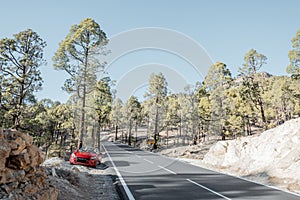 Mountain road on Tenerife islnad